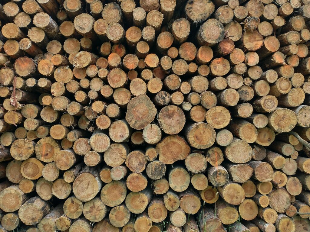 Close-up view of chopped tree logs stacked in a woodpile outdoors.